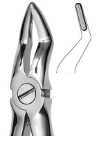 Leibinger Pedo Extraction Forceps – Lower Incisors #5